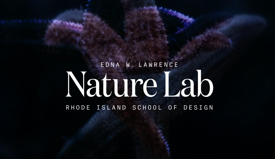 Edna W. Lawrence Nature Lab