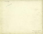 Rosecliff (verso) by Stanford White and RISD Archives