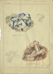 Fluorite Crystals, Quartz Crystals, Plate XXVII by Edmond St. Laurent and RISD Archives