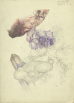 Minerals, Rocks, Crystals, Snowflake by Jane Schwartz and RISD Archives