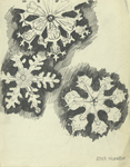 Snowflakes by Peter Thornton and RISD Archives