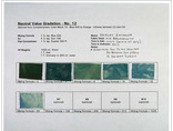 Neutral Value Gradation | Part I Neutral Value Gradation | Part I
