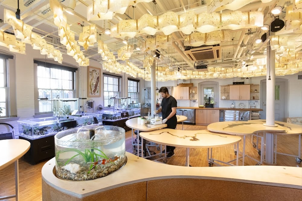 Edna W. Lawrence Nature Lab