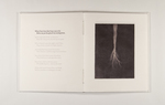 When I have Fears That I May Cease to Be by Jae Hee Han, Fleet Library, and Special Collections