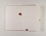 Coccinellidae by Nahyeon Juliette Kim, Fleet Library, and Special Collections