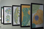 Movement of a Tardigrade by Rebecca Schena, Fleet Library, and Special Collections