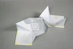 Point / Line / Plane by Lanxuan (Florence) Liu, Fleet Library, and Special Collections