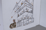 Rabbits Invading School. Damn. by TC Ye, Special Collections, and Fleet Library