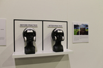 Graduate Thesis Exhibition 2014 by Campus Exhibitions