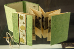 From Tree to Paper: Traditional Japanese Paper-making Process by Uma Kinoshita, RISD Color Lab, North American Hand Papermakers, and Fleet Library