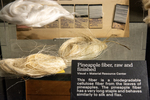 Everything in the Pot | Fibers and Dyeing at Fleet Library and Beyond by RISD Archives, Special Collections, and Visual + Material Resources