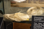 Everything in the Pot | Fibers and Dyeing at Fleet Library and Beyond by RISD Archives, Special Collections, and Visual + Material Resources