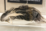 Everything in the Pot | Fibers and Dyeing at Fleet Library and Beyond by RISD Archives, Special Collections, and Visual + Material Resources