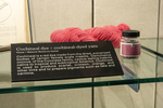 Everything in the Pot | Fibers and Dyeing at Fleet Library and Beyond by RISD Archives, Special Collections, and Visual + Material Resources