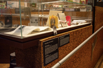 11th Baker & Whitehill Exhibit by Special Collections and Fleet Library