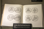 Celebration | Recognizing Asian Art and Religion by Aditya Bhattacharjee, Emma Metcalfe Hurst, Special Collections, and Fleet Library