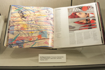 LPs "Covered" by Artists by Special Collections and Robert Garzillo