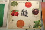 LPs "Covered" by Artists by Special Collections and Robert Garzillo