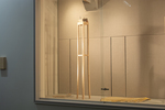 2026 Rooted in Color by Hugo Nakashima-Brown, Color Lab, and Fleet Library