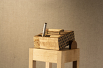 2026 Rooted in Color by Hugo Nakashima-Brown, Color Lab, and Fleet Library