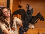 Puppetry Final Performance | Wintersession 2025