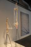 New Contemporaries | selected work from the class of 2012 by Campus Exhibitions