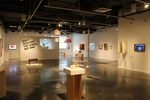Vernacular Spectacular<sup>TM</sup> by Campus Exhibitions