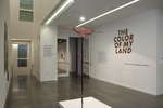 The Color of My Land by Campus Exhibitions