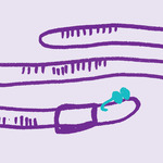 Fathom Library by Marcella Green