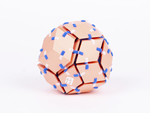 Rhombic Triacontahedron by Fleet Library