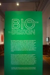 Biodesign: From Inspiration to Integration Exhibition by Edna W. Lawrence Nature Lab, RISD Co-Works, and Campus Exhibitions