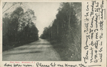 Post Road, Wickford, RI by E. E. Young Publisher, Visual + Material Resources, and Fleet Library