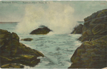 Spouting Rock, Narragansett Pier, RI by A. C. Bosselman & Co., NY: publisher; Visual + Material Resources; and Fleet Library