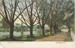 Rhodes on the Pawtuxet, Pawtuxet, RI by Rhode Island News Company, Visual + Material Resources, and Fleet Library