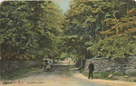 Lover's Lane by ...Leighton Co., Portland, ME; Visual + Material Resources; and Fleet Library