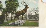 The Elks Memorial Monument by RI News Company, Providence, RI: publisher; Visual + Material Resources; and Fleet Library