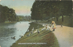Scene in Roger Williams Park, Providence, RI by The Rotograph Co., New York: publisher; Visual + Material Resources; and Fleet Library