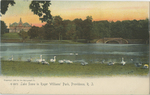 Lake Scene in Roger Williams Park, Providence, RI by The Rotograph Co., New York City, NY: publisher; Visual + Material Resources; and Fleet Library