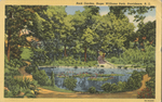 Rock Garden, Roger Williams Park, Providence, RI by Curteich, Chicago, Illinois: publisher; Visual + Material Resources; and Fleet Library