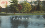 Geese, Roger Williams Park, Providence, RI by The Robbins Bros. Co., Boston, MA: publisher; Visual + Material Resources; and Fleet Library
