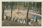 Monkey Island, Roger Williams Park, Providence, RI by Berger Bros., Providence, RI: publisher; Visual + Material Resources; and Fleet Library