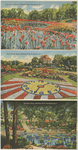 Tulip Time, Floral Clock, Lily Pool, Roger Williams Park, Providence, RI