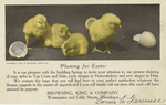 Pluming for Easter by Browning, King & Company: haberdashery