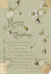Untitled (Christmas Greeting) (verso) by Walter Walter