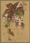 Untitled (Christmas. Heavenly blessings crown this day, with the Joy that hasts away!) by Raphael Tuck & Sons