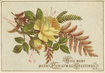 With many Merry Christmas Greetings. by Raphael Tuck & Sons
