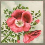 Untitled (pink flower)