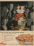 "I'm having my own house party" | Kellogg's Frosted Flakes by Visual + Material Resources and Fleet Library