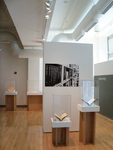 To Write This Work 2010 by Campus Exhibitions