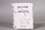 Grimoire of a Lost Witch